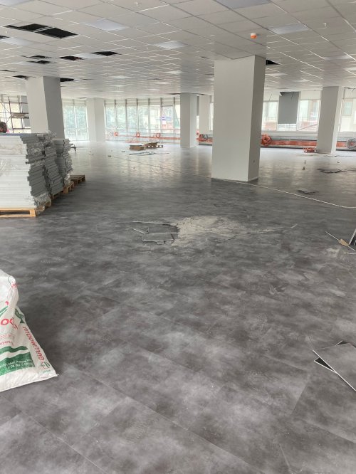 LVT Plank